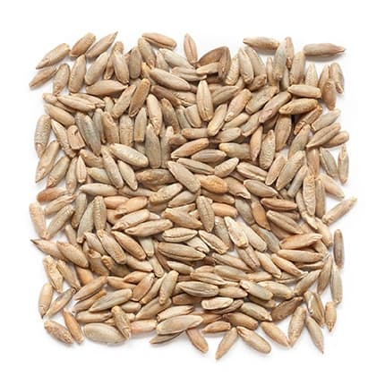 Whole Rye