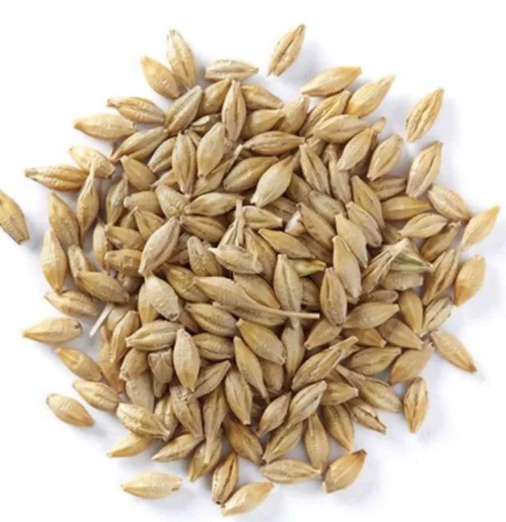 Whole Rye Grain