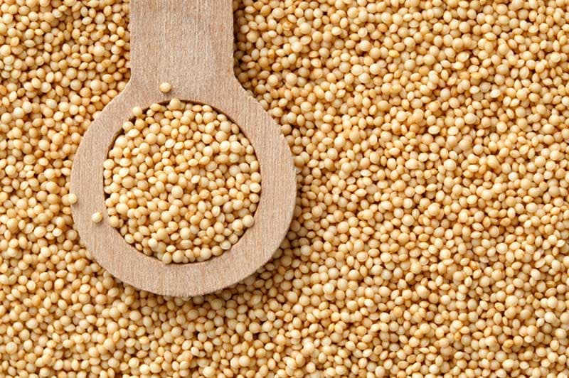 Amaranth / Rajgira