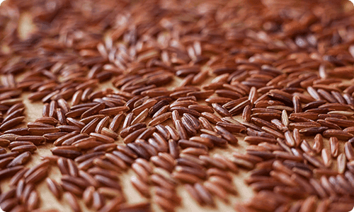 Brown Rice