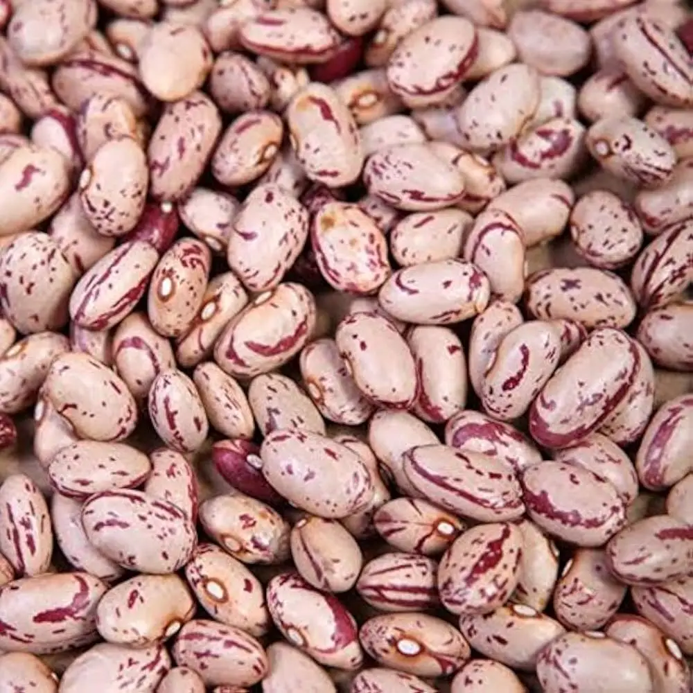 Chitra Rajma