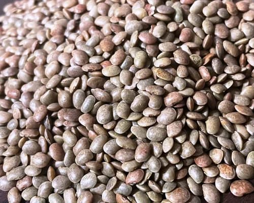 Horse Gram / Kulthi Dal
