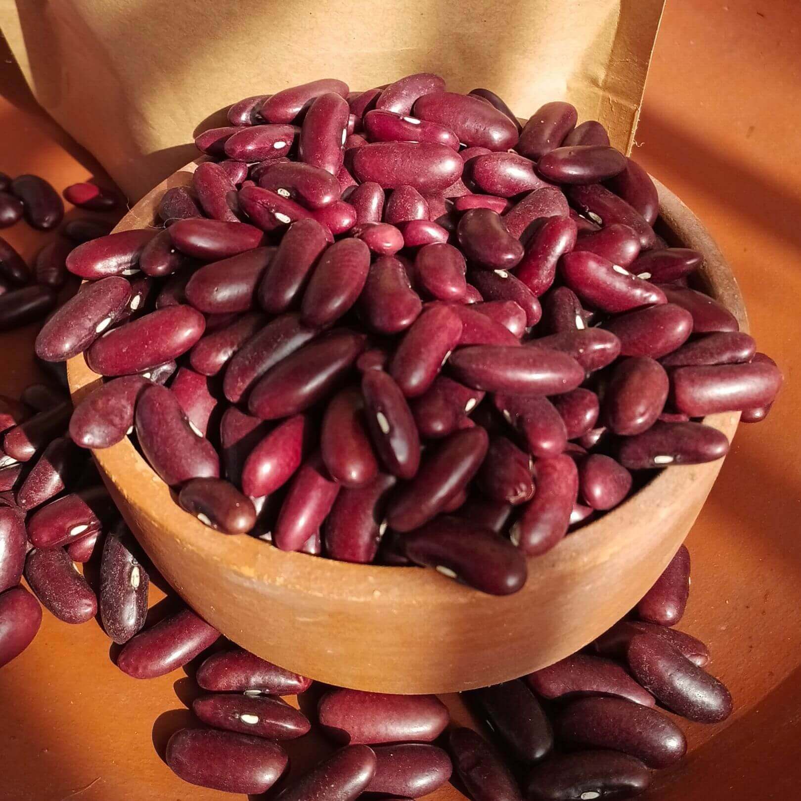 Jammu Rajma