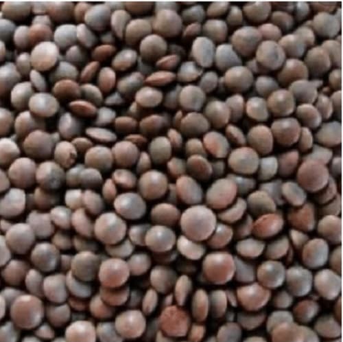 Masoor Dal Black/Brown