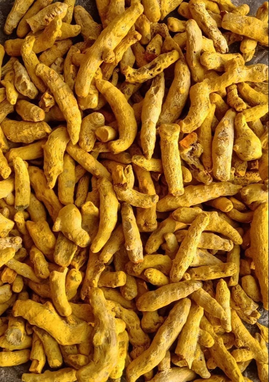 Nizamabad Turmeric