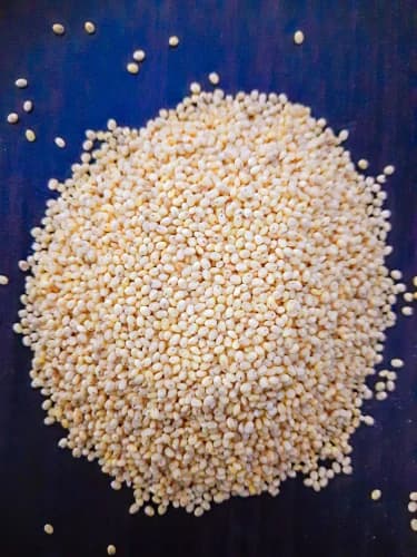Proso Millet (Barri / Chena)