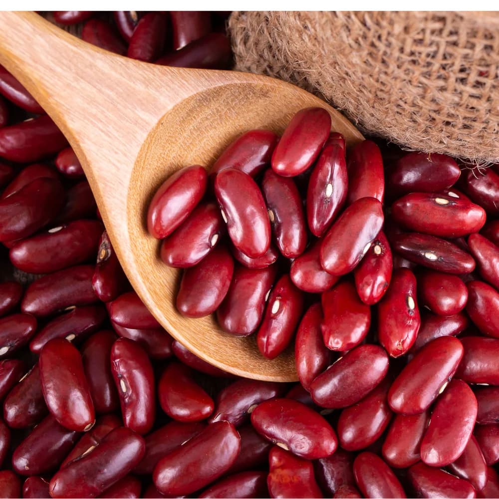 Rajma Red Kidney Beans