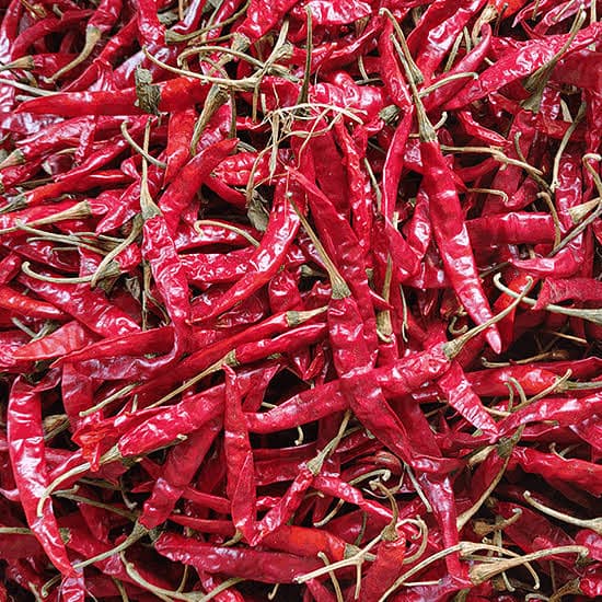 Teja Chilli