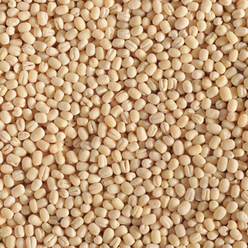 Urad Gota / Whole Urad