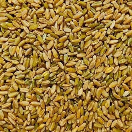 Whole Freekeh