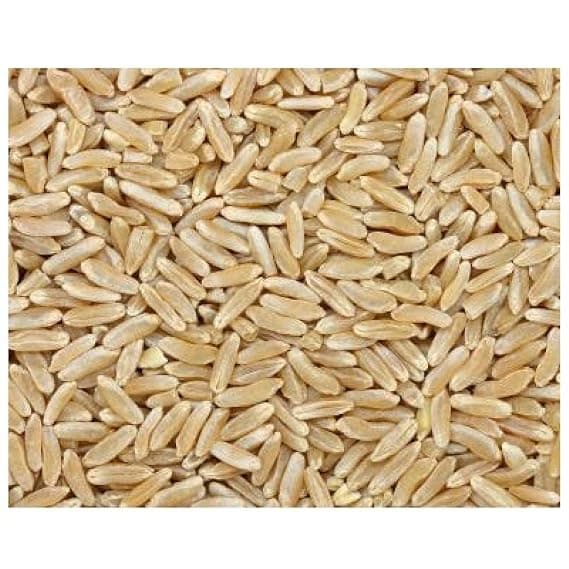 Whole Kamut / Khorasan Wheat
