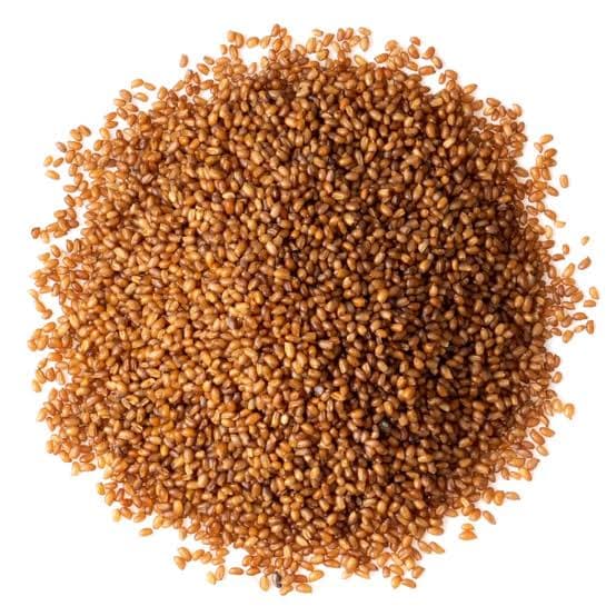 Whole Teff